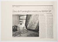 Obra de Fiaminghi é revista no MAM-SP