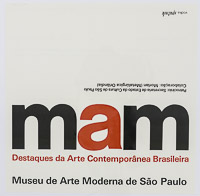 Destaques da Arte Contemporânea Brasileira