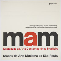 Destaques da Arte Contemporânea Brasileira