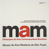 Destaques da Arte Contemporânea Brasileira