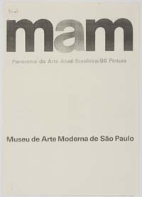 MAM Panorama da Arte Atual Brasileira/86 Pintura