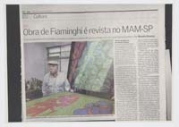 Obra de Fiaminghi é revista no MAM-SP