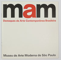 Destaques da Arte Contemporânea Brasileira