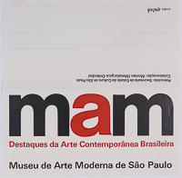 Destaques da Arte Contemporânea Brasileira